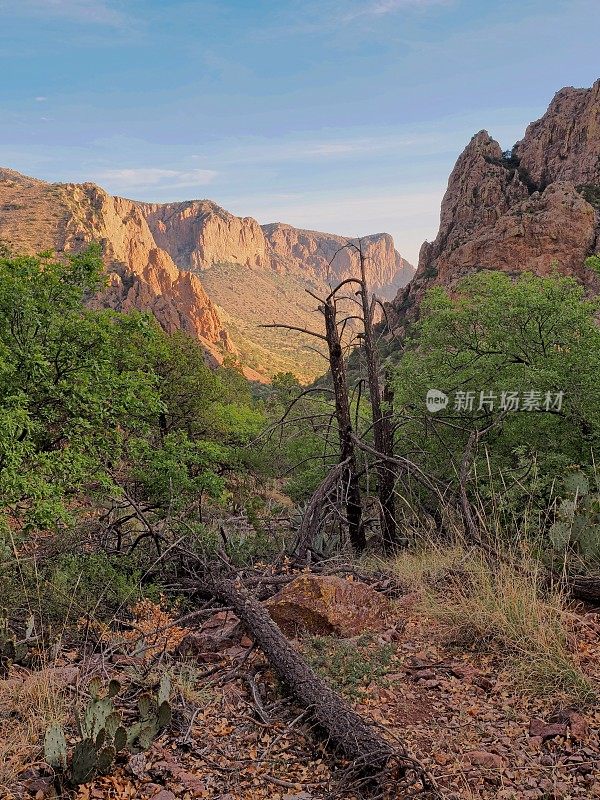 穿过奇索斯山脉的Lost Mine小径上引人注目的早晨景观